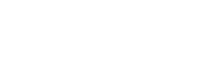 Partenaire Incyber News